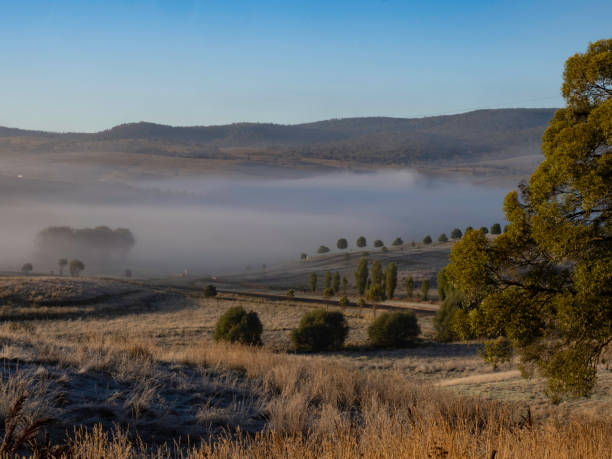 istock Foggy morning in valley 2133710223