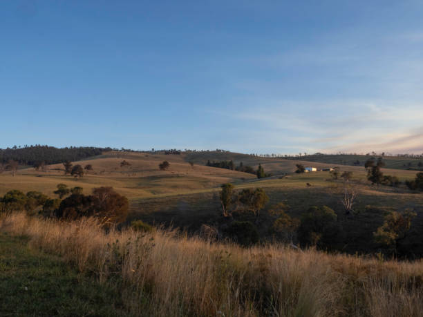istock Late afternoon sun over farmland 2133710236