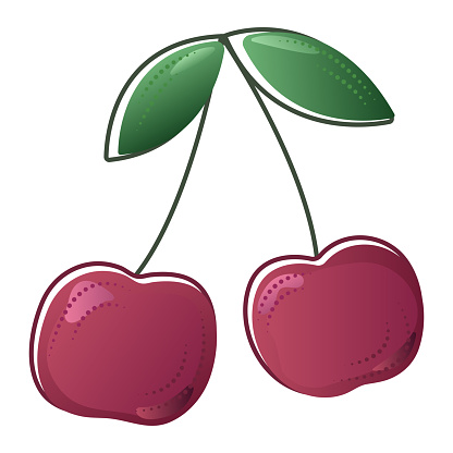 Two juicy cherries, ripe burgundy berries with two stems and leaves, vector gradient illustration