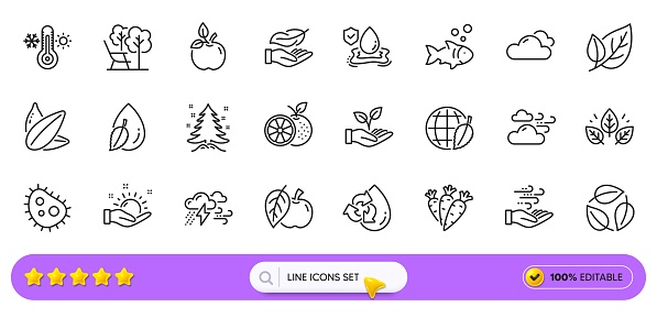 Christmas tree, Recycle water and Sunflower seed line icons for web app. Pack of Water drop, Orange, Organic tested pictogram icons. Sunny weather, Apple, Leaves signs. Flood insurance. Vector
