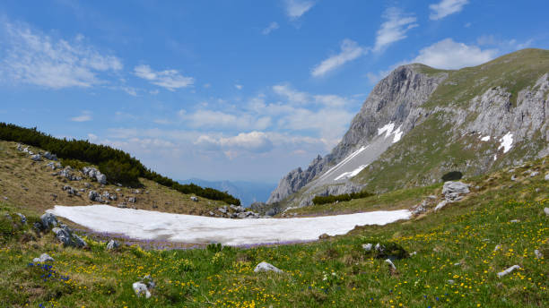 Mountain stock photo