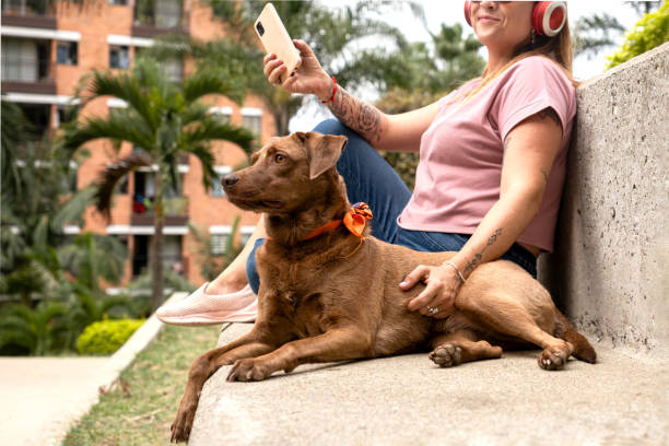 un perro mimado sentado junto a su dueño en el parque de la ciudad. - pampered pets audio fotografías e imágenes de stock