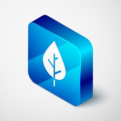 Isometric Leaf icon isolated on grey background. Fresh natural product symbol. Blue square button. Vector