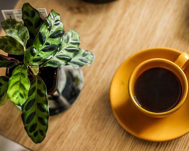 istock Little yellow coffee cup on a desk with a plant 2133944956