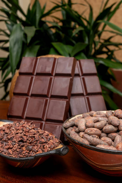 istock Vertical photo of chocolate bars with their derivatives 2133968932