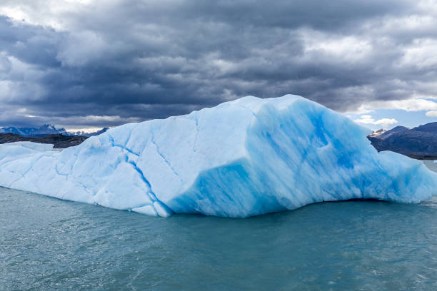 Iceberg floating at Lago Argentina in Patagonia