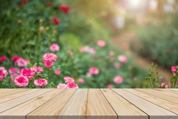 istock Empty wood table top with blur rose garden background for product display 2133989206
