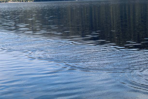 istock Skimming stones ripples 2134058485
