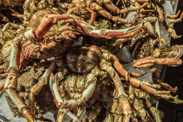 istock Whole Crabs Keeping Fresh on Ice in Venice Restaurant, Italy 2134099983