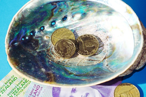 A mixture of New Zealand Bank notes and coins with an endemic Paua New Zealand abalone shell.