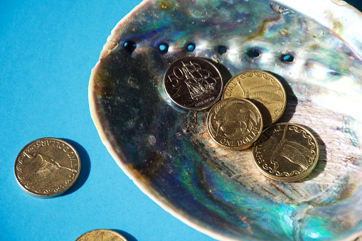 A mixture of New Zealand Bank notes and coins with an endemic Paua New Zealand abalone shell.