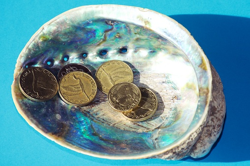 A mixture of New Zealand Bank notes and coins with an endemic Paua New Zealand abalone shell.