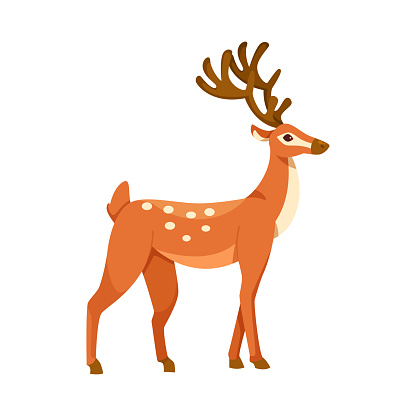 Brown Deer with Antlers and Slender Legs in Standing Pose Vector Illustration. Forest Animal with Spotted Skin