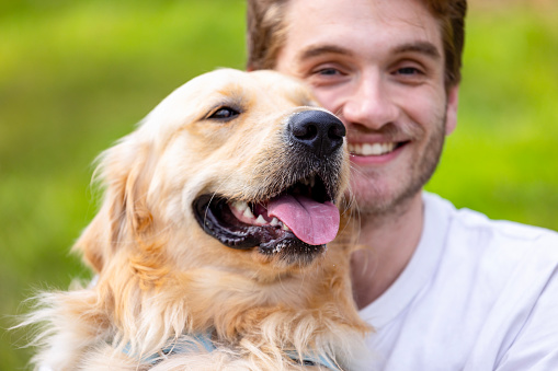 Portrait of happy young man sitting in the park with his pet Golden Retriever, background with copy space, full frame horizontal composition