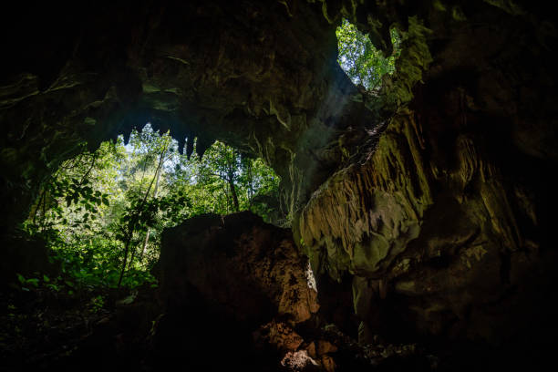 istock Cave in rainforest, Chiapas, Mexico 2134244243