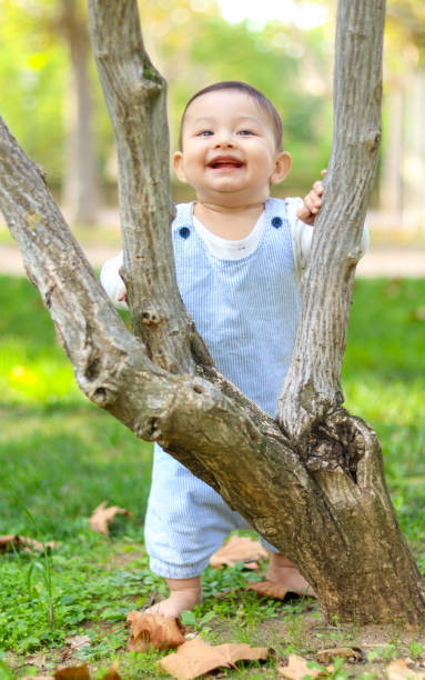 Baby standing, leaning against a small tree, smiling, lying in the meadow and looking at camera
