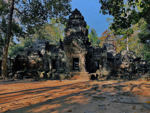 Jungle Hidden Heritage: Ta Nei Temple Ancient Legacy, Angkor Wat, Siem Reap, Cambodia