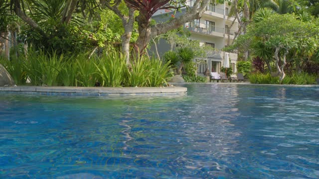 Trees in pool In Bintang Flores Hotel, Labuan Bajo, Indonesia. Pan left.