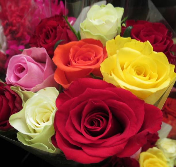 Large bouquet of pink roses