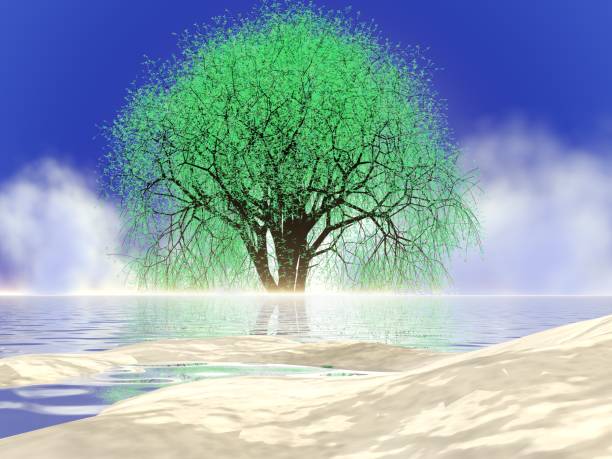 istock Fantastic landscape of Giant tree and Beach 2134430048