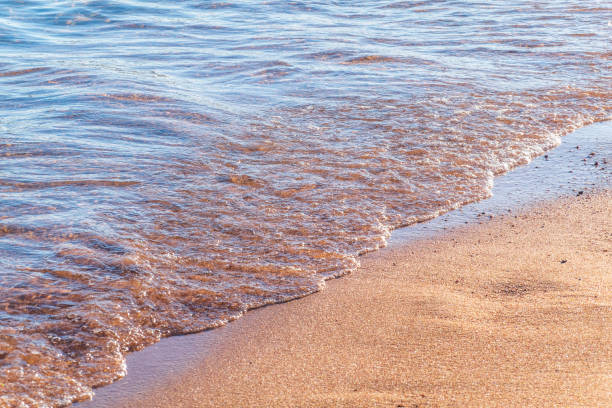 istock Soft wave of the sea on the sandy beach. 2134437436