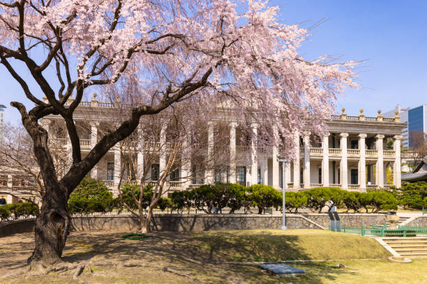 istock Spring Flowers at Deoksugung Palace 2134446327