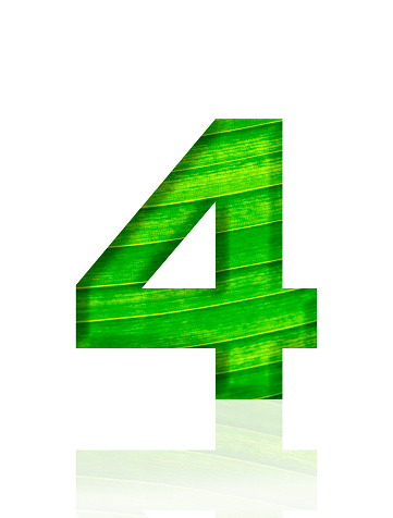 Close-up of three-dimensional green leaf vein number 4 on white background.