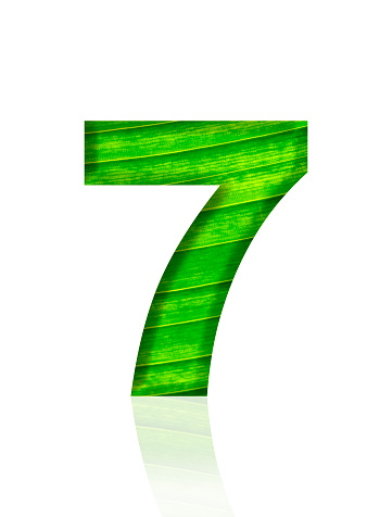 Close-up of three-dimensional green leaf vein number 7 on white background.