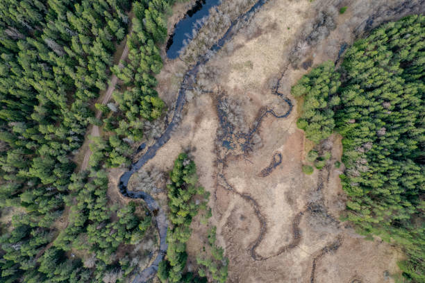 istock Aerial spring view of sunny Dubysa river, Lithuania 2134457448