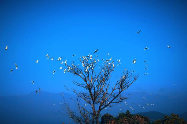 this pic is taken in dehradun, india