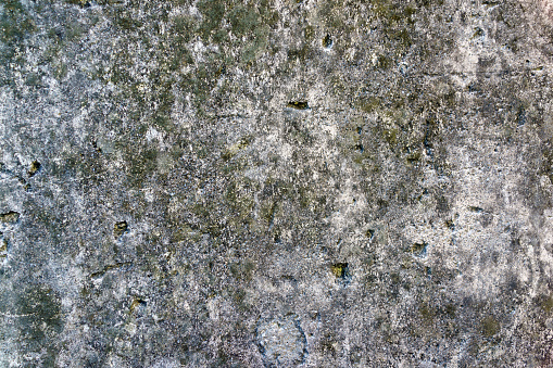 The background displays a grey grunge texture with mold growth on a cement wall.