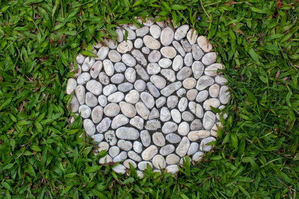 selective focus of white stones walkway in the middle of a meadow or grassland or grass land outdoor