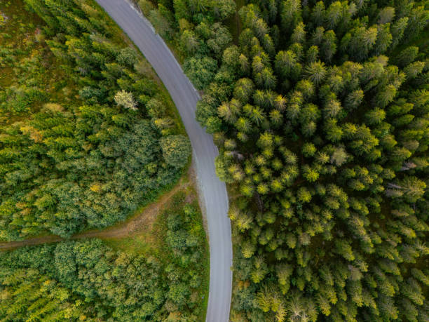 istock Close-up View of Forest Road From Above 2134600461