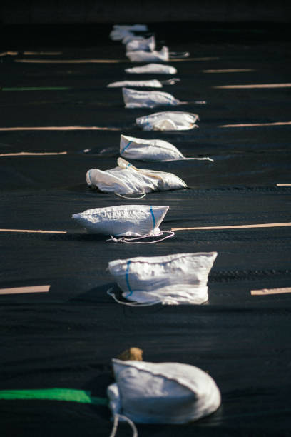 Sandbag for flood protection. A pile or wall of sandbags at the front gate or entrance of a house to keep flood water out of the residence