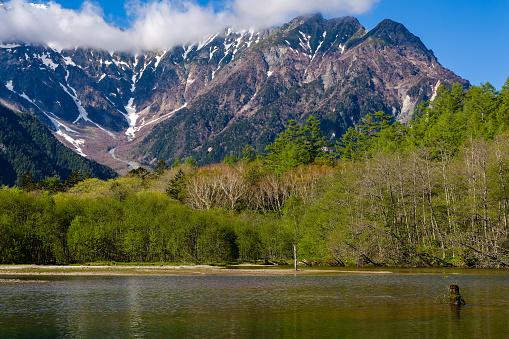Shallow lake in front of forest and towering snow covered peaks (Hotaka Range, Kamikochi, Japan)