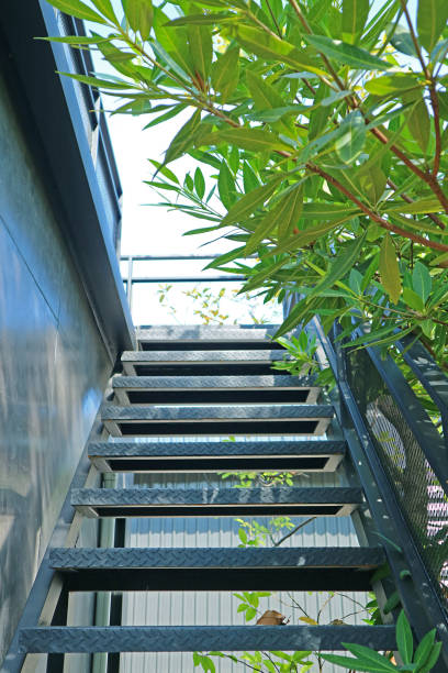 istock Empty roof access metal stairs among green foliage 2134653135