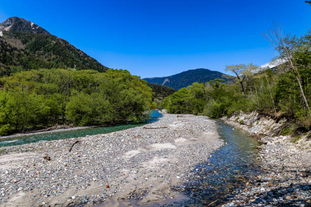 istock Wide, clear river flowing through lush forest with background towering mountains 2134661163