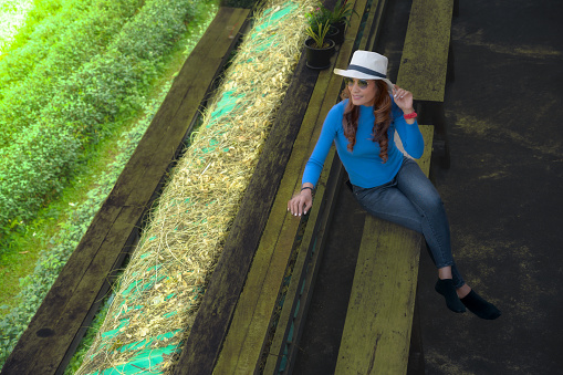 An Asian female tourist relaxes on a wooden bench in the tea plantation at Chiang Mai province, Thailand.