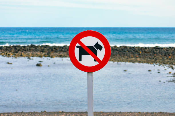 No dogs allowed sign on the beach