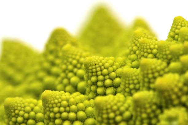 istock Close-up photo of Romanesco 2134694123