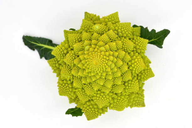 istock Close-up photo of Romanesco 2134694136