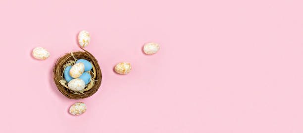 istock Top view Easter eggs in nest on pink background. Wide banner. 2134727329