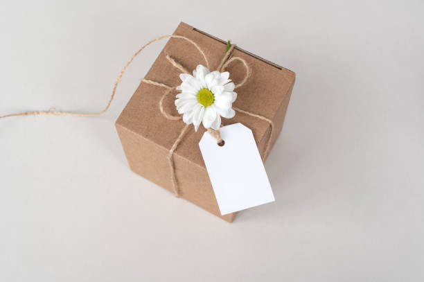 Kraft box with blank label, price tag, gift wrap, top view, tag mockup, white cardboard label with thin rope cord, isolated