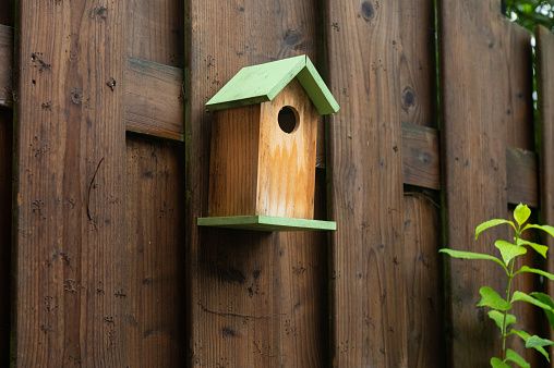 A quaint green birdhouse mounted on a weathered wooden fence
