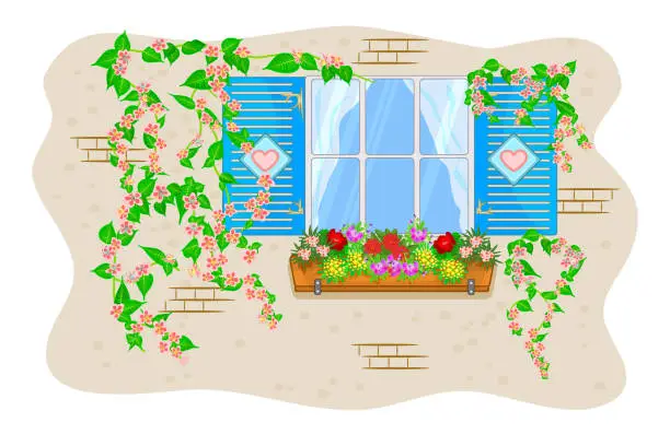 Vector illustration of Window with shutters and flowers isolated on white background. Wooden window with flowers in pot and climbing plants.