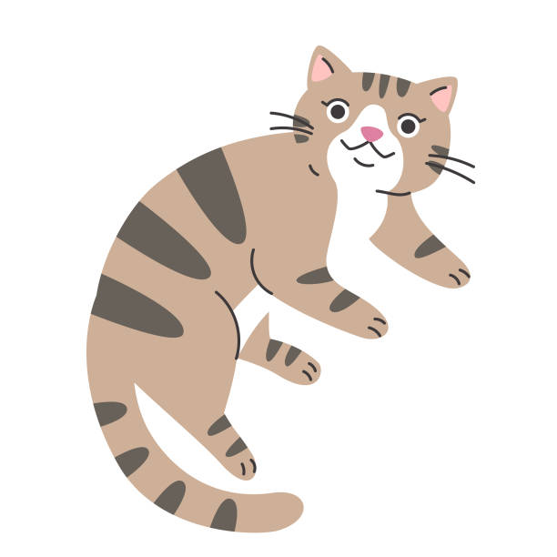Stripy Cat Clips Stripy Cat Clips