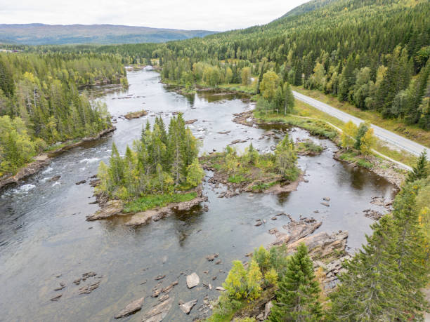 A small island surrounded by a flowing river with clear water that shows its rocky bottom. The nearby forest is a rich green, with reflections of the trees on the water.