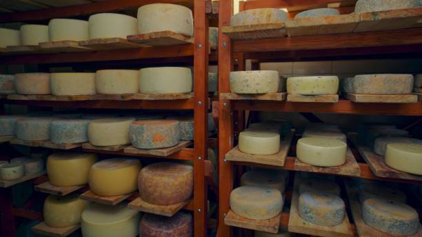 istock Ripening blue cheeses at a cheese factory 2134780637