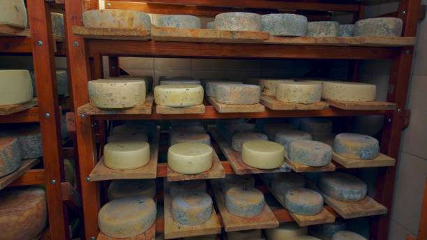 istock Variety of ripening cheeses 2134780639