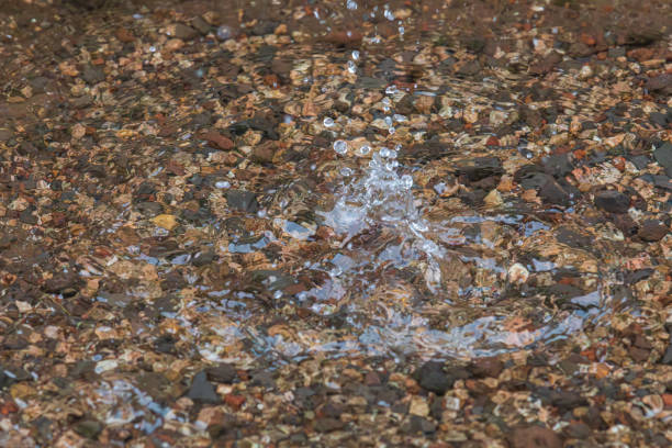 The moment raindrops splash in a shallow pond.